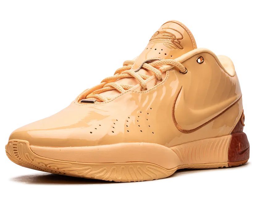 nike-lebron FV2345-800