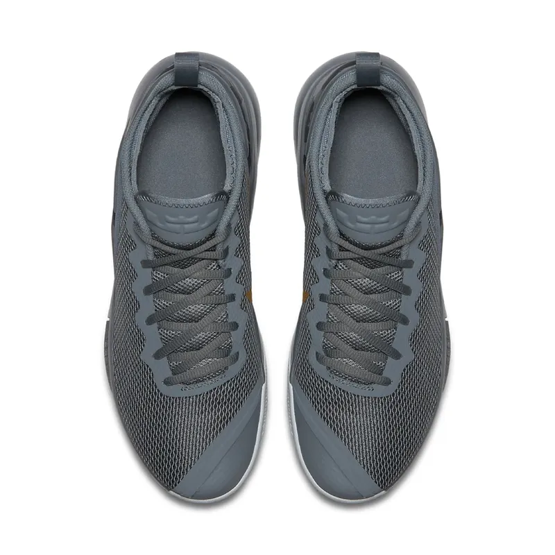 Nike Lebron Witness II Cool Grey Metallic Gold (942518-009)