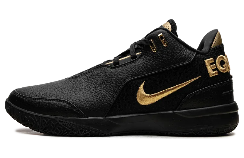 Nike Zoom LeBron NXXT Gen “Equity” (FJ1566-103)