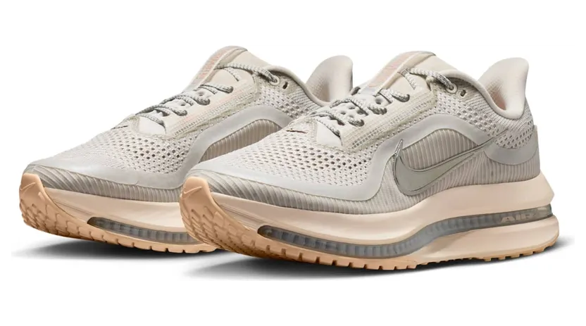 nike-air-pegasus HQ2593-012