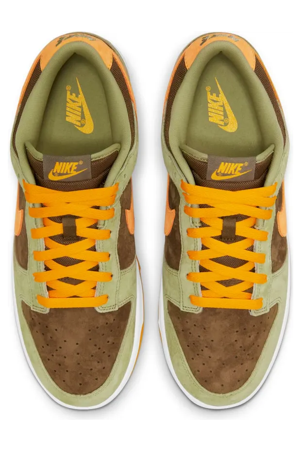 nike-dunk DH5360-300