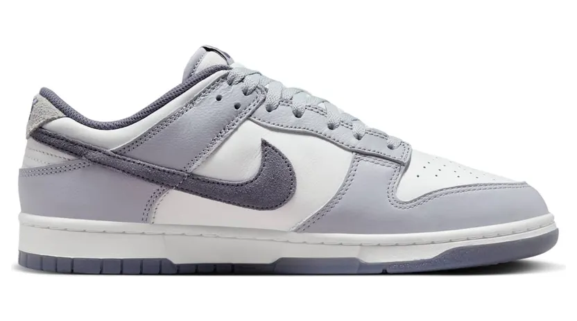 nike-dunk FJ4188-100