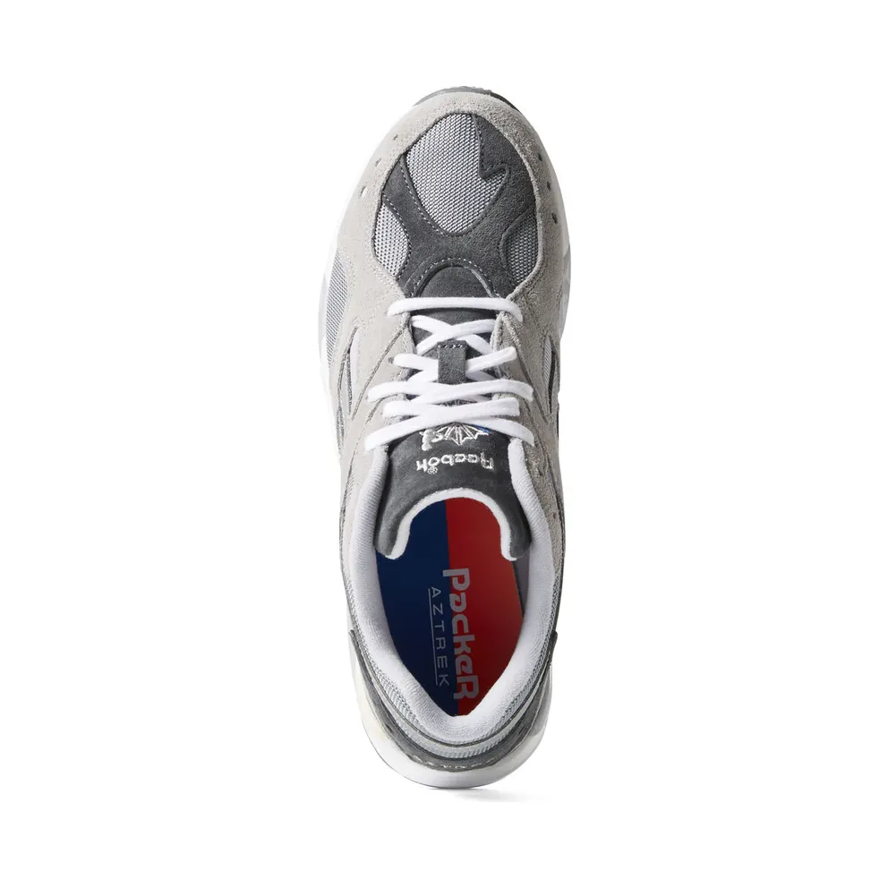 Reebok Aztrek Packer Shoes (DV9835)