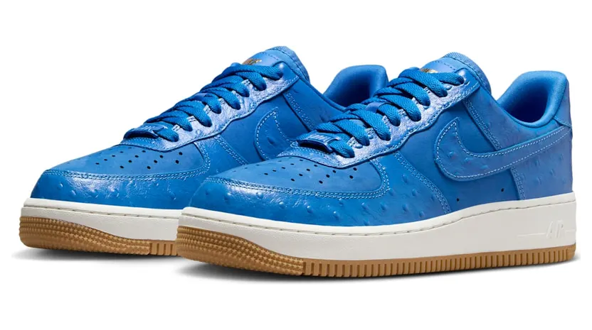 nike-air-force DZ2708-400