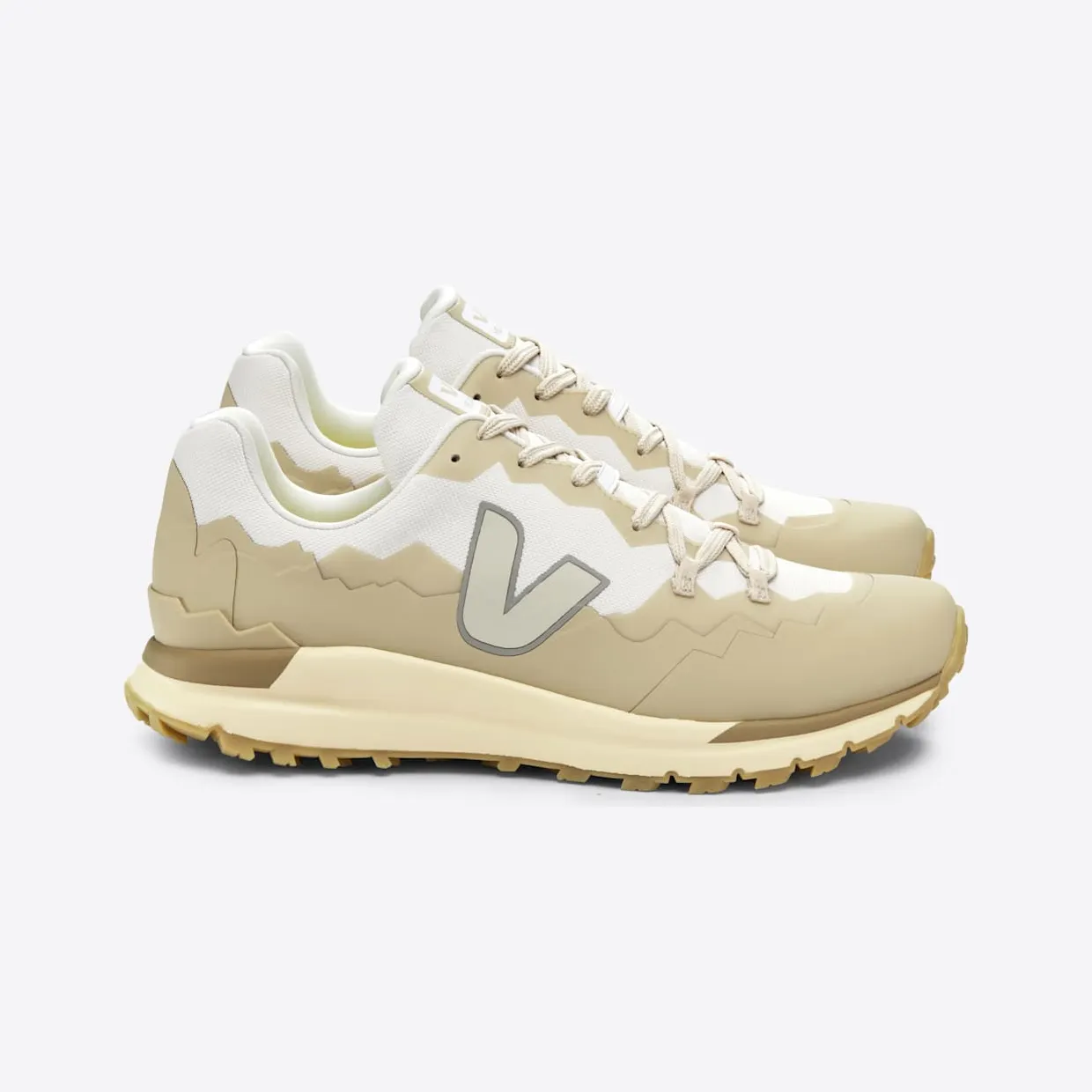 veja-fitz-roy FR2303371A