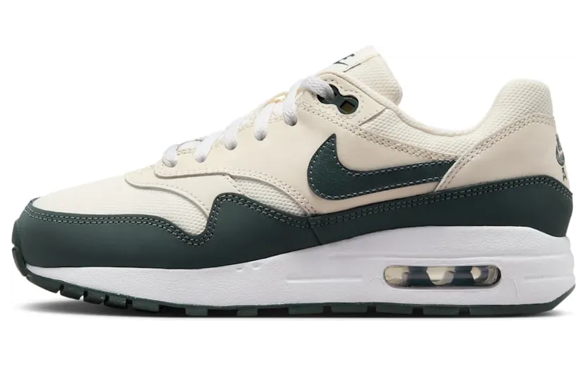 Nike Air Max 1 DZ3307-113