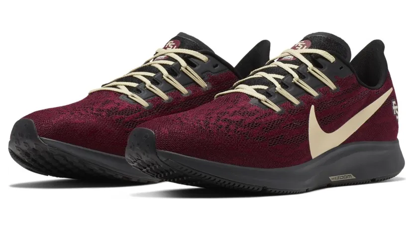 Nike Air Zoom Pegasus 36 Florida State
