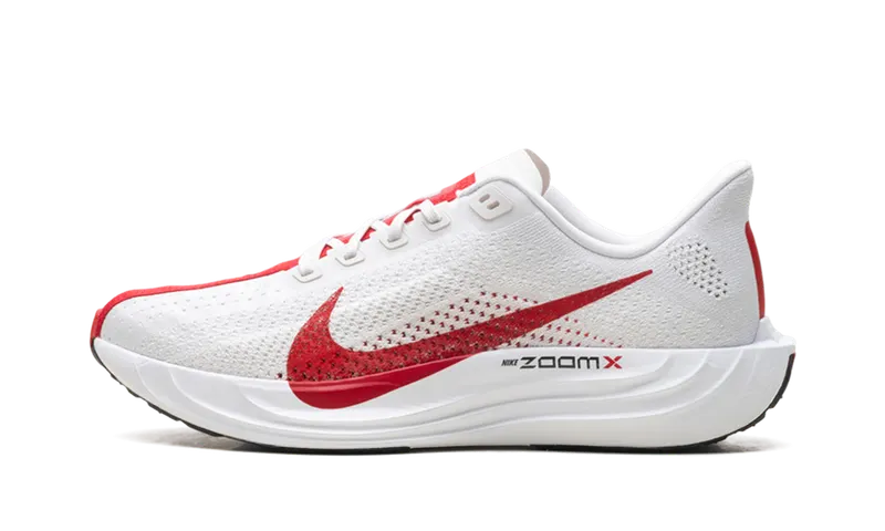 Nike Pegasus Plus “Platinum Tint University Red” (FQ7262-003)