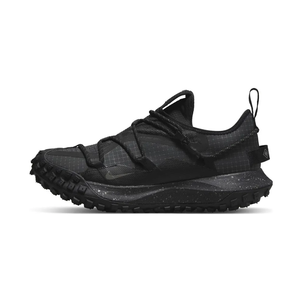 Nike ACG Mountain Fly Low GORE-TEX SE Grey (DD2861-002)