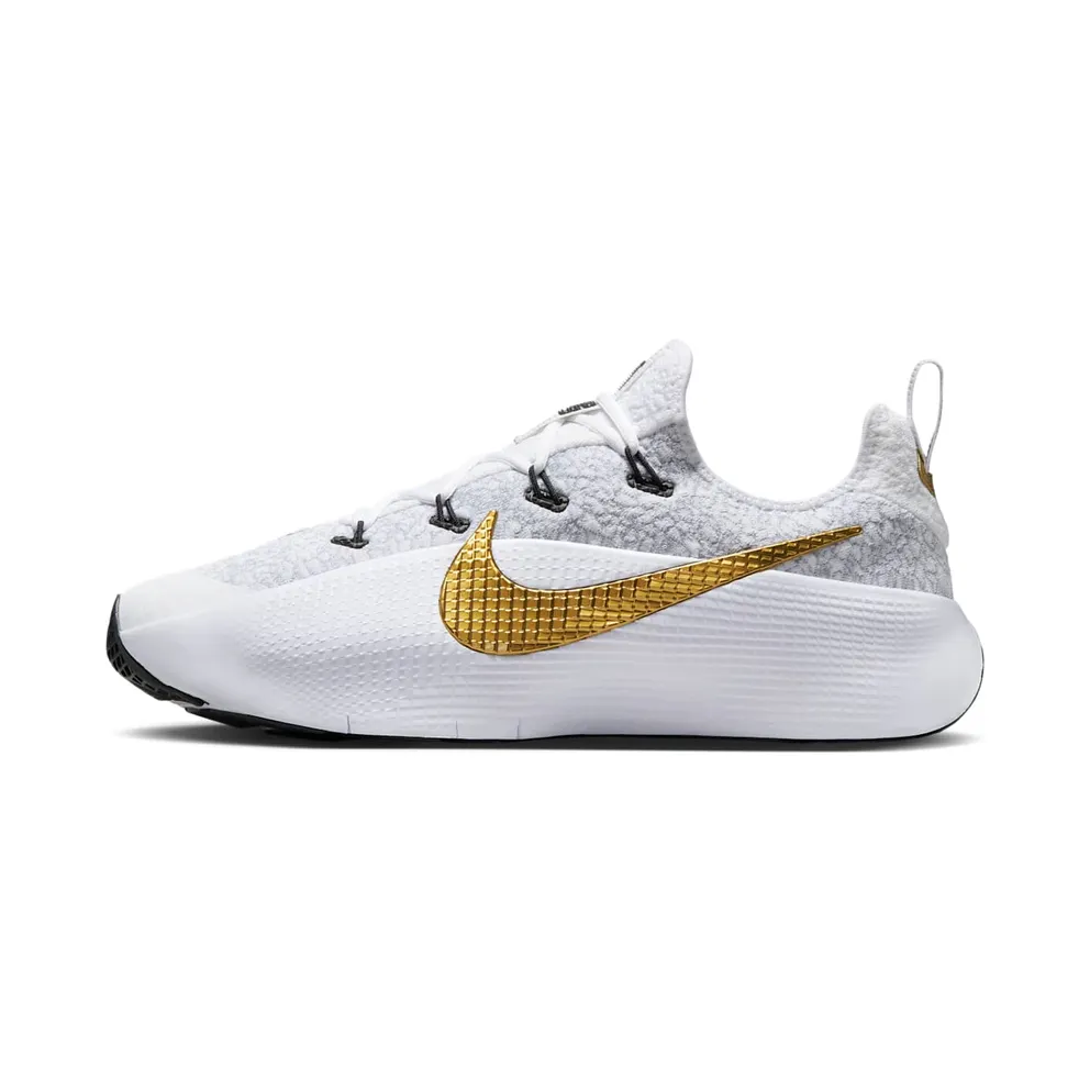 Nike LeBron TR 1 Wolf Grey White Metallic Gold (FJ6151-006)