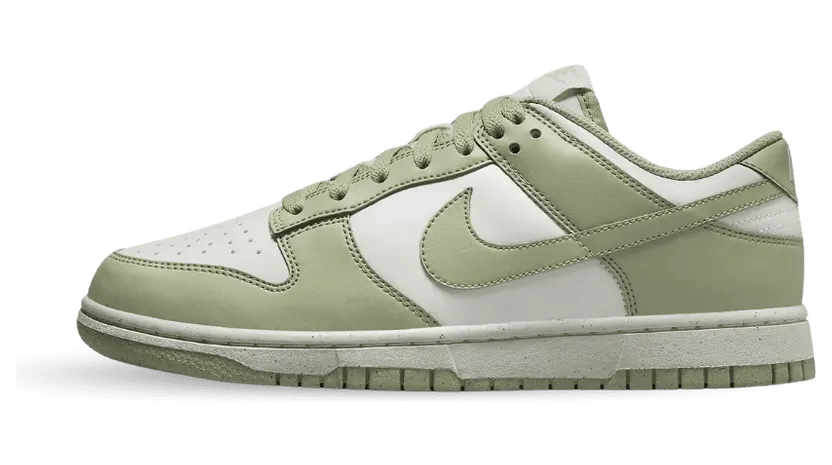 nike-dunk HF5384-300
