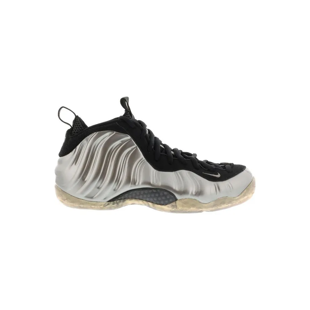 Nike Air Foamposite One Pewter (314996-004)