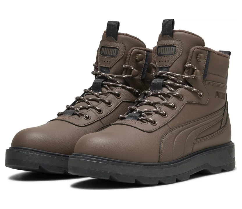 puma-desierto 392626_06