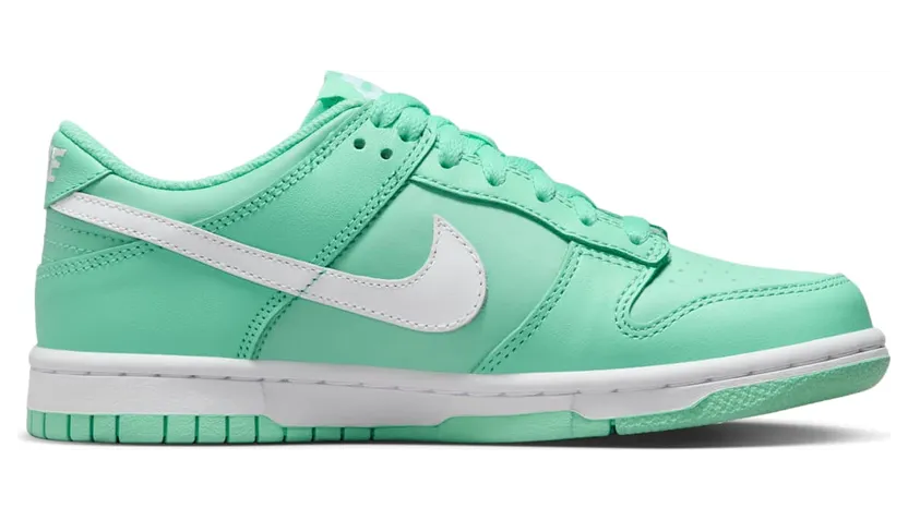 nike-dunk DH9765-302