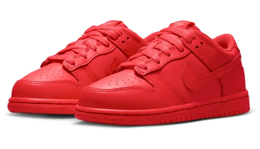 nike-dunk DH9756-601