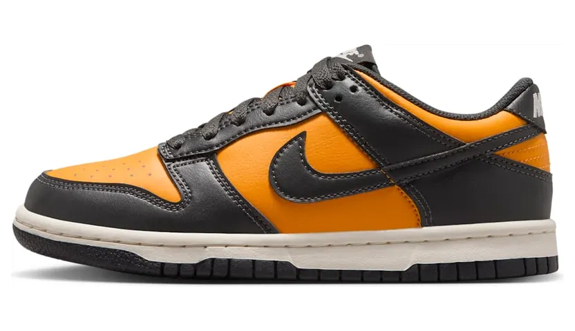 nike-dunk FB9109-701