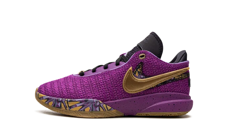 Nike LeBron 20 GS “Young Heirs” (FD0207-500)