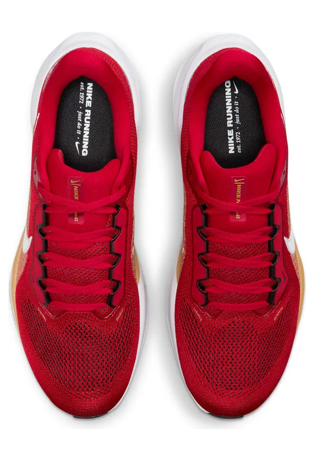 nike-air-zoom IB3186-600