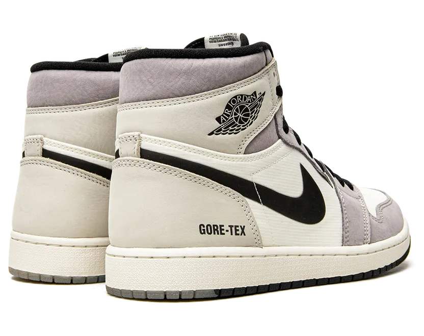 air-jordan-1 DB2889-100