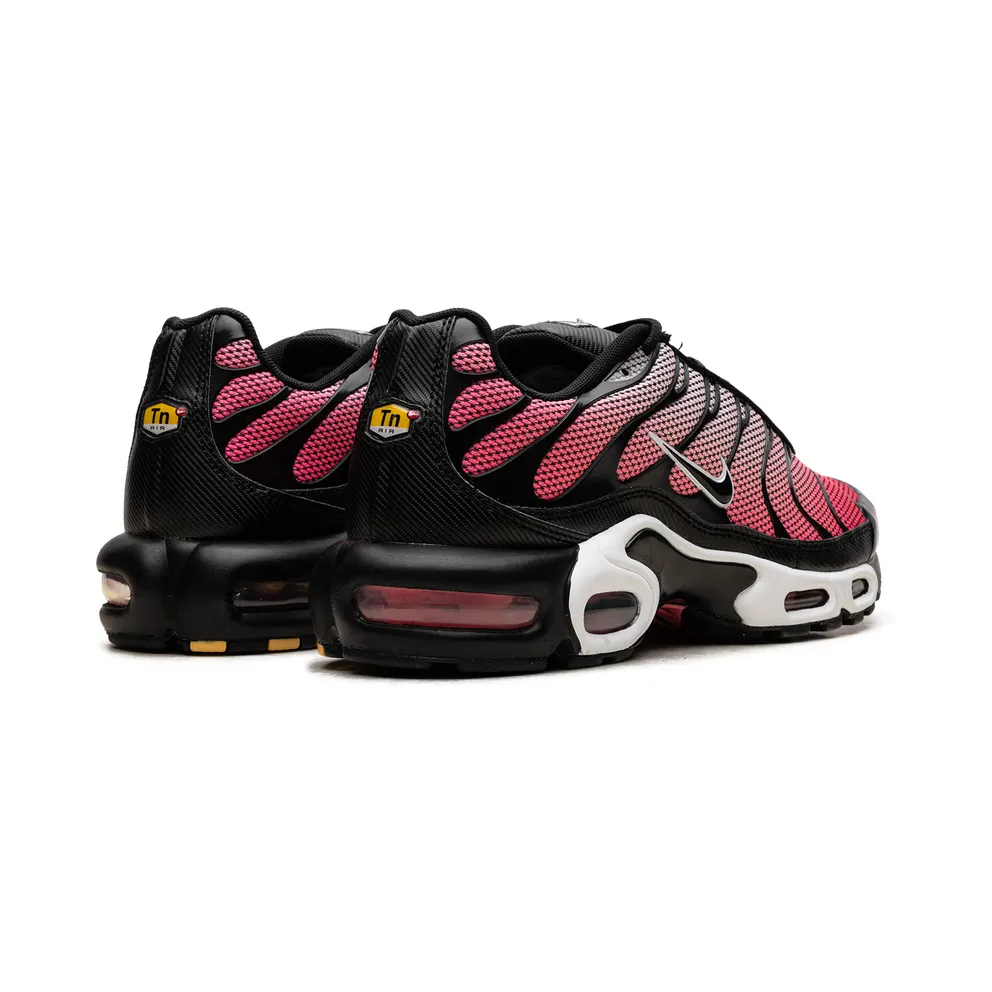 Nike Air Max Plus “All Day” (HF3837-600)
