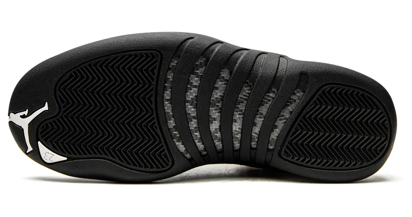 air-jordan-12 CT8013-170