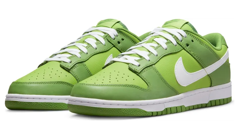 nike-dunk DJ6188-300