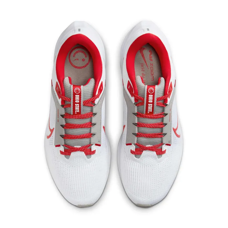 Nike Pegasus 40 Ohio State (DZ5969-100)