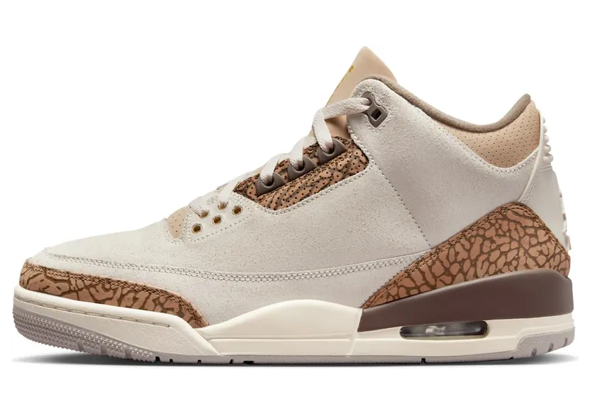 Air Jordan 3 CT8532-102