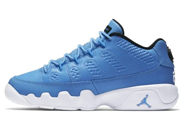 Air Jordan 9 Retro Low BG Pantone (833447-401)
