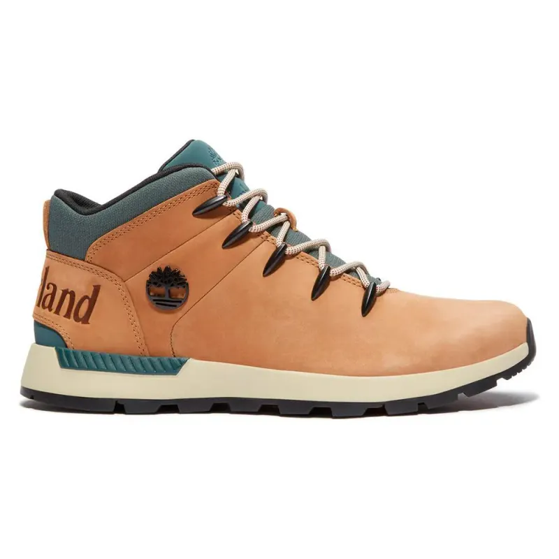 Timberland sneaker Green (TB0A6DQDEUW1M)