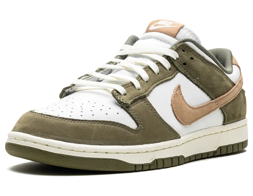 nike-dunk FQ8250-200