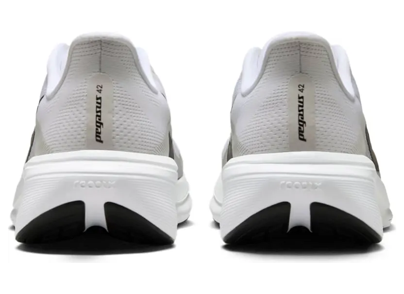 nike-air-pegasus IB1873-101