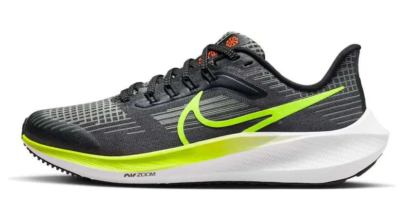 nike-air-pegasus DM4015-002