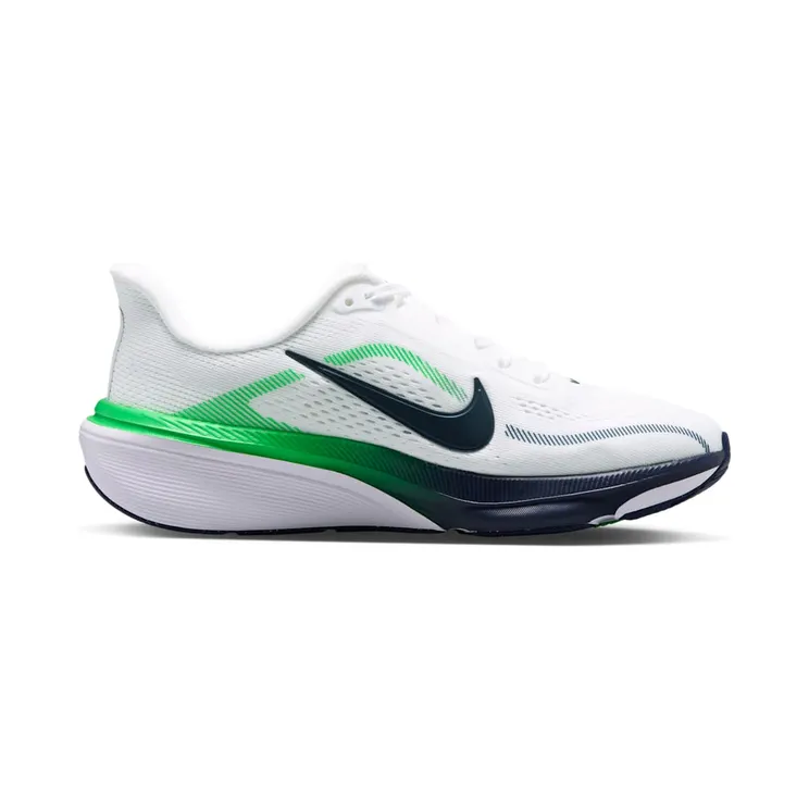 nike-air-pegasus IH2306-102