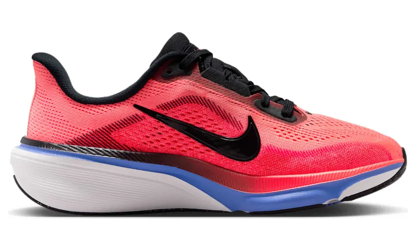 nike-zoom IH2306-614