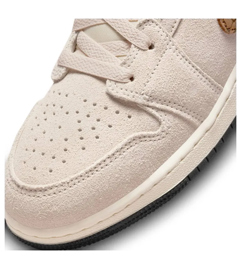 air-jordan-1 DZ5369-102