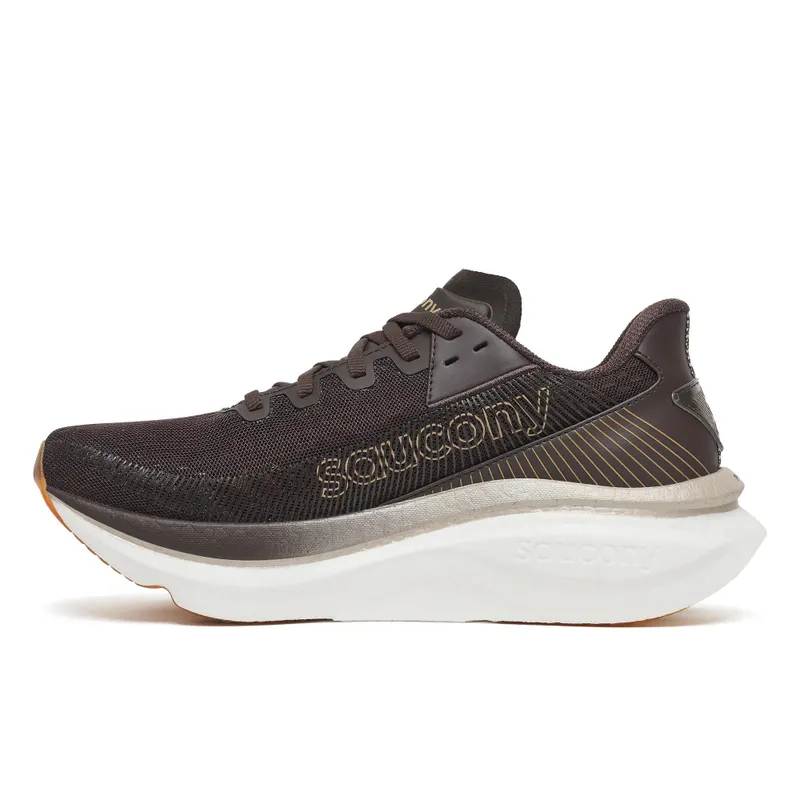 SAUCONY Endorphin Azura “Torte” (S101348-1005)
