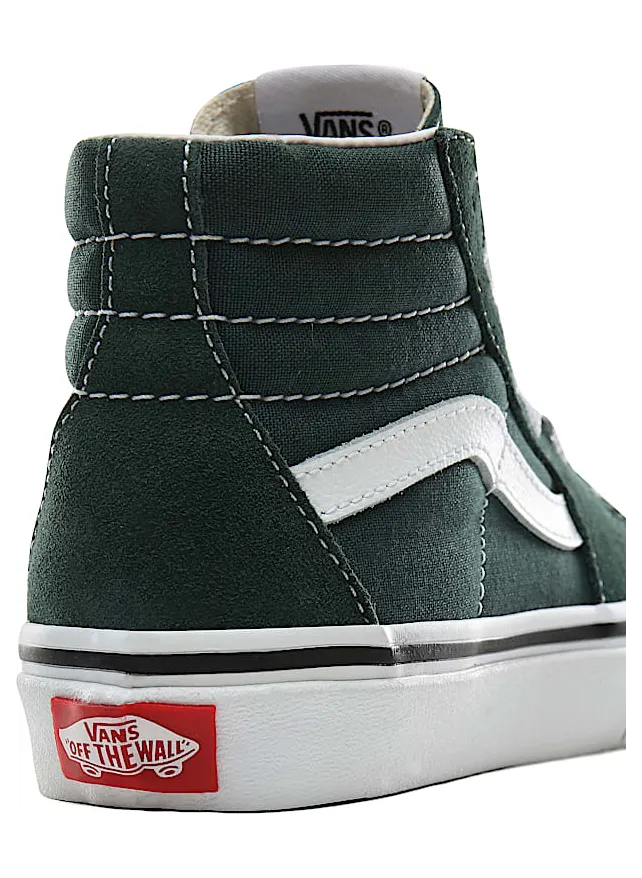 vans-sk8-hi VN0A4BUWV3N