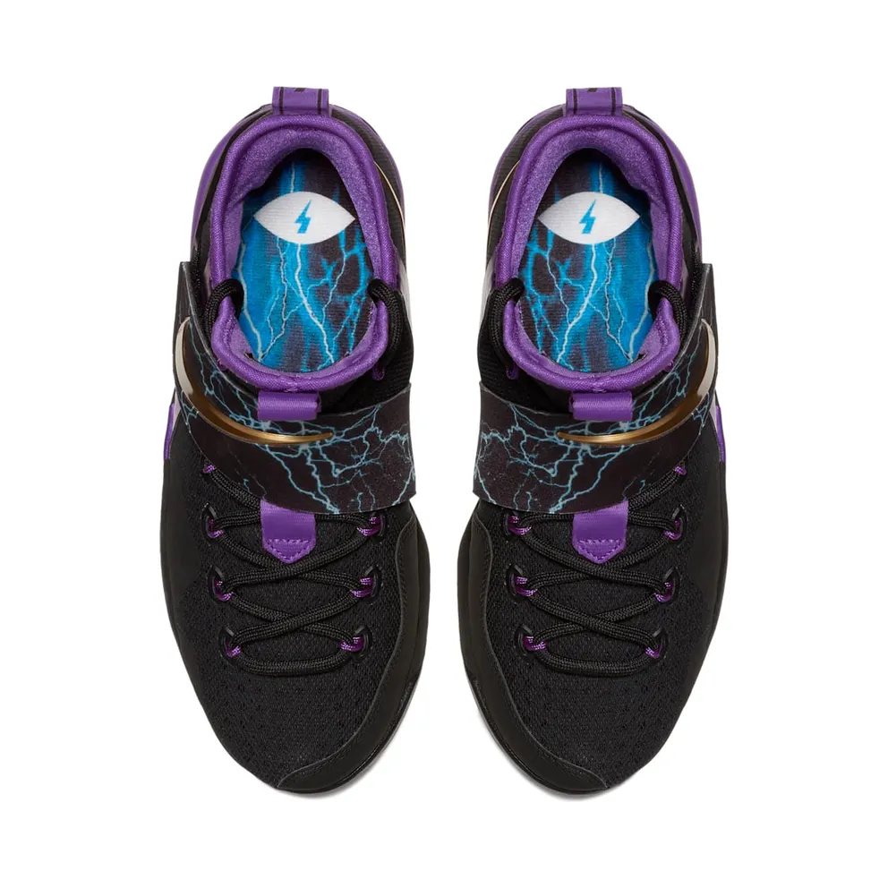 Nike LeBron 14 The Undertaker (GS) Hyper Grape/Metallic Gold-Black (AA3258-590)