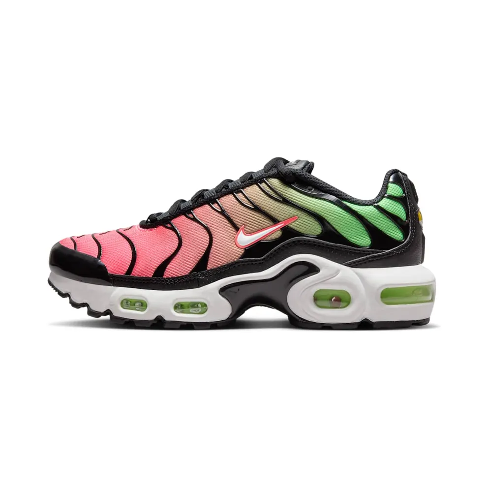 Nike Air Max Plus Schwarz (CD0609-010)