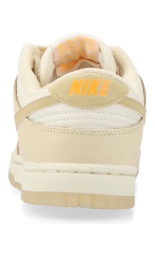 nike-dunk FZ2552-100
