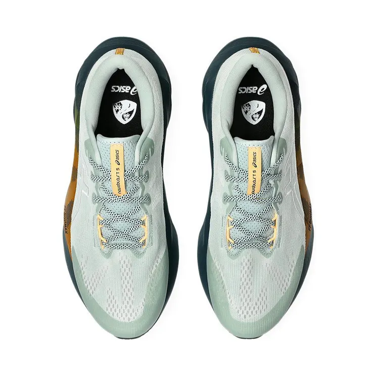 asics-novablast 1011C138-300