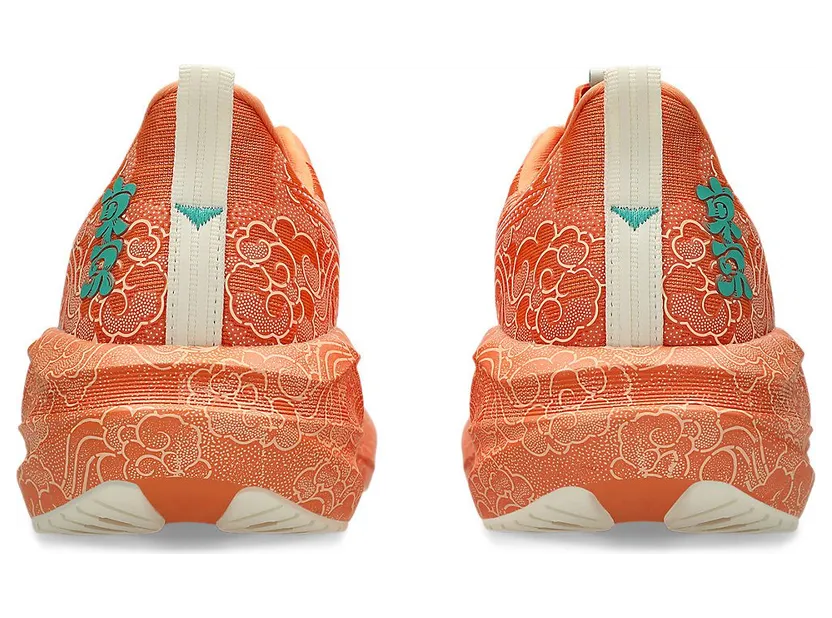 asics-novablast 1013A206-700