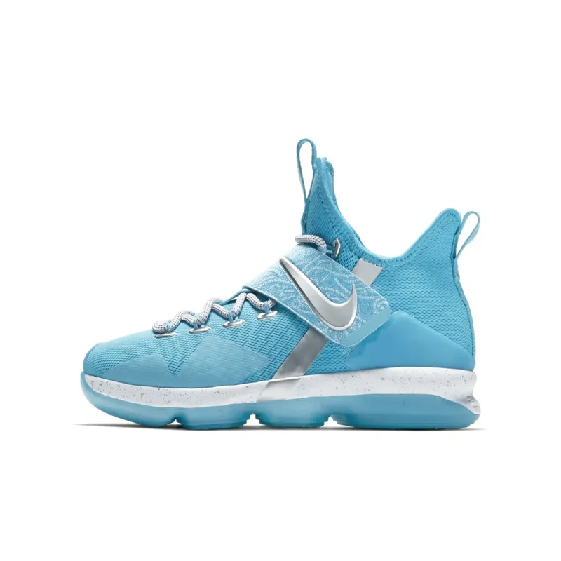 Nike LeBron 14 Ric Flair (GS) Blue Fury/Metallic Silver-Equator Blue (AA3258-404)