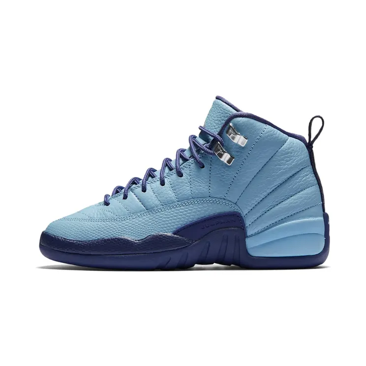 Air Jordan 12 Retro GG Hornets “Bluecap / Dark Purple Dust / Metallic Silver” (510815-418)