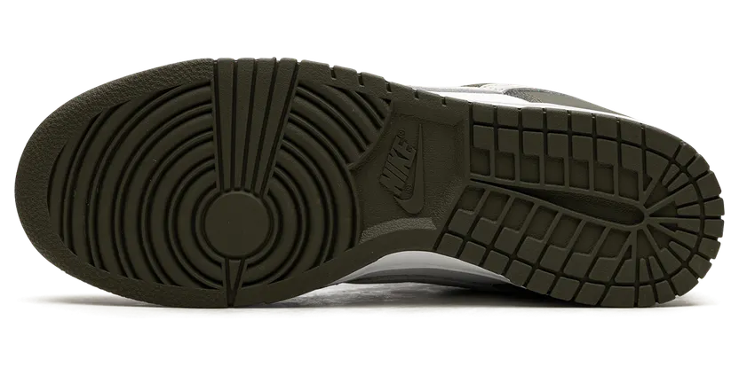 nike-dunk FN6882-100