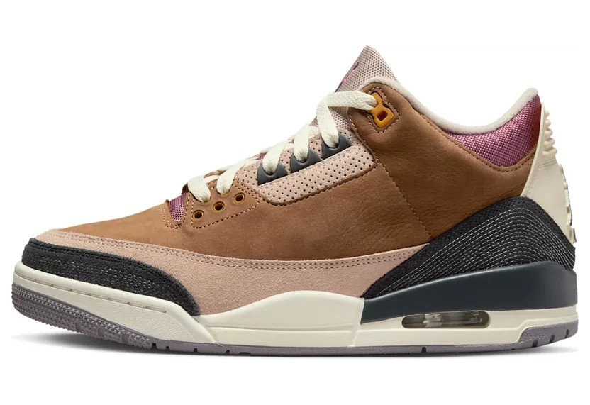 Air Jordan 3 DR8869-200