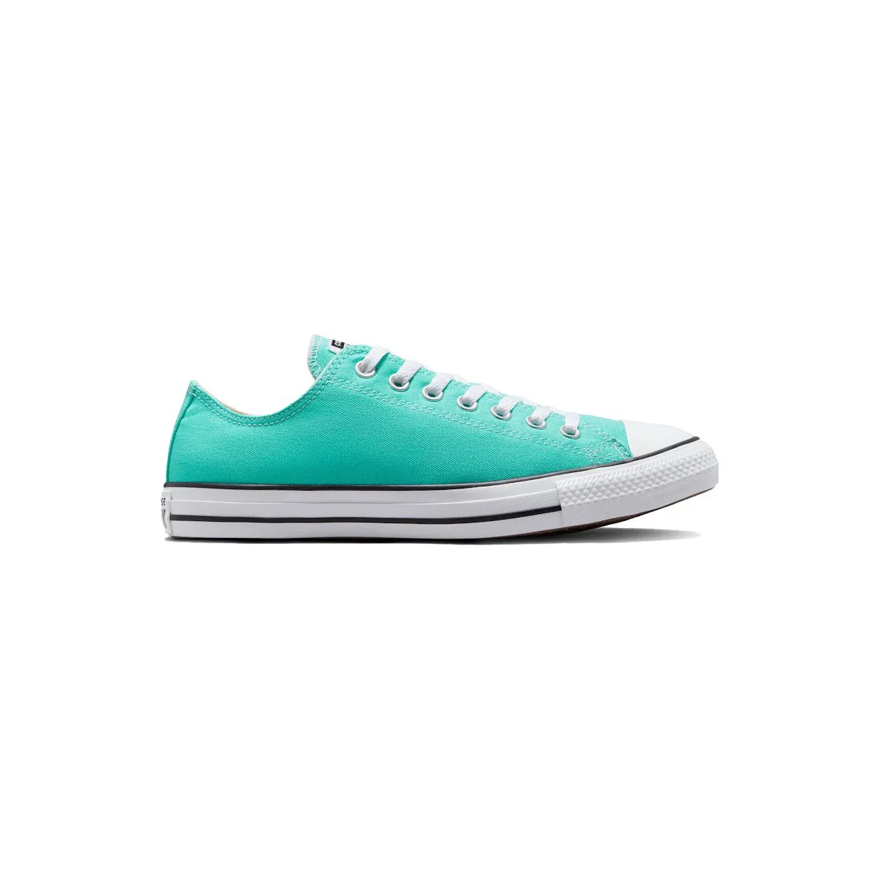 converse-chuck-taylor-all-star 171266F