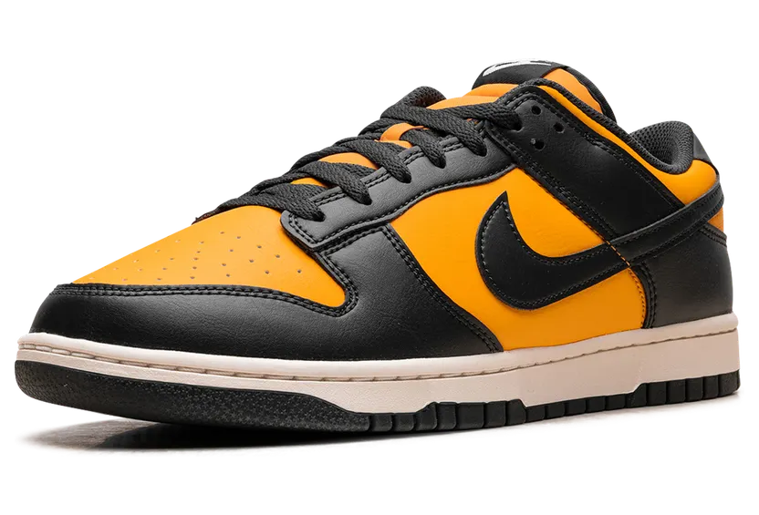 nike-dunk HF5441-700