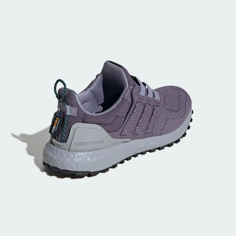 Adidas Ultraboost 1.0 Shadow Violet / Shadow Violet / Silver Violet (IG5344)